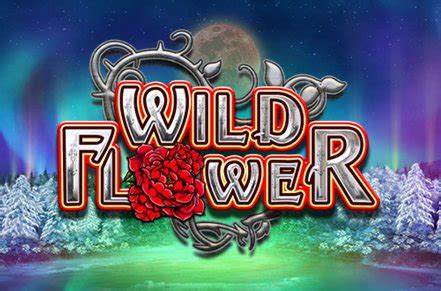 Wild Flower 3